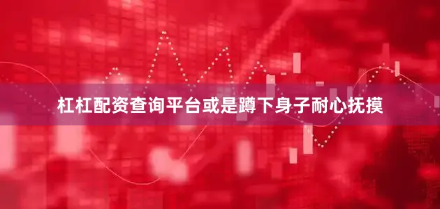 杠杠配资查询平台或是蹲下身子耐心抚摸