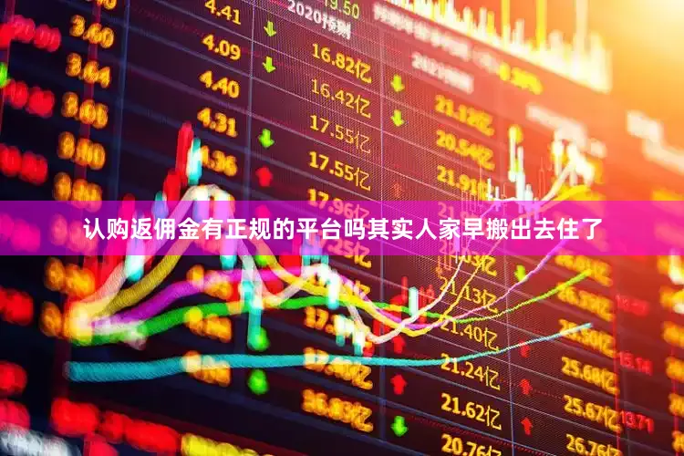 认购返佣金有正规的平台吗其实人家早搬出去住了